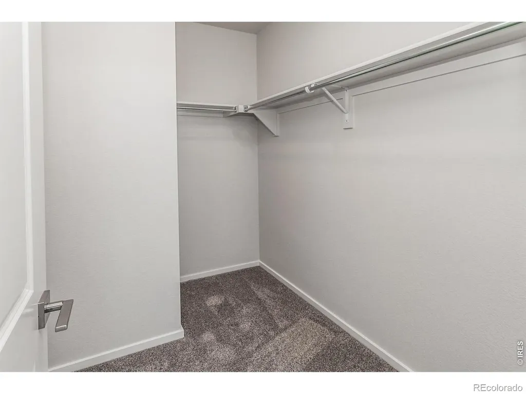 774 Trumpet Court Windsor CO 80550