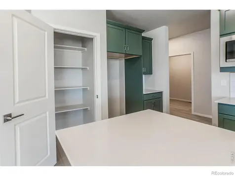 774 Trumpet Court Windsor CO 80550