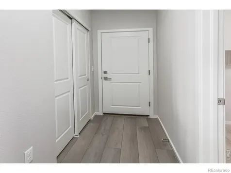 774 Trumpet Court Windsor CO 80550