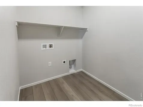 774 Trumpet Court Windsor CO 80550