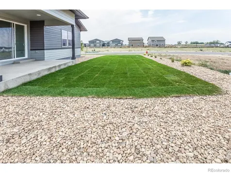 774 Trumpet Court Windsor CO 80550