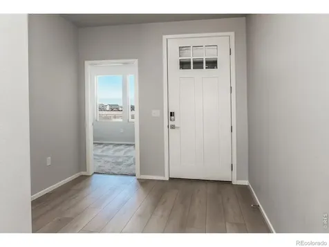 774 Trumpet Court Windsor CO 80550
