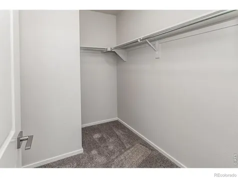 774 Trumpet Court Windsor CO 80550