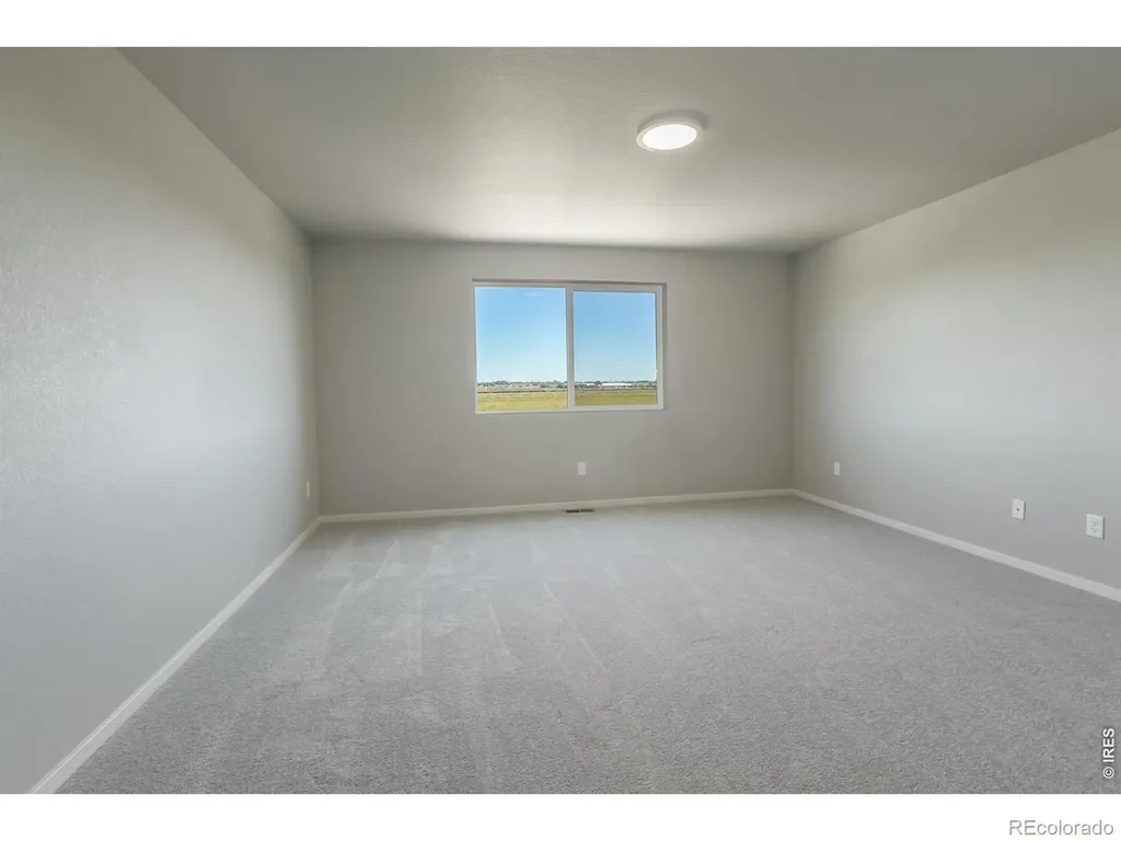 764 Trumpet Court Windsor CO 80550
