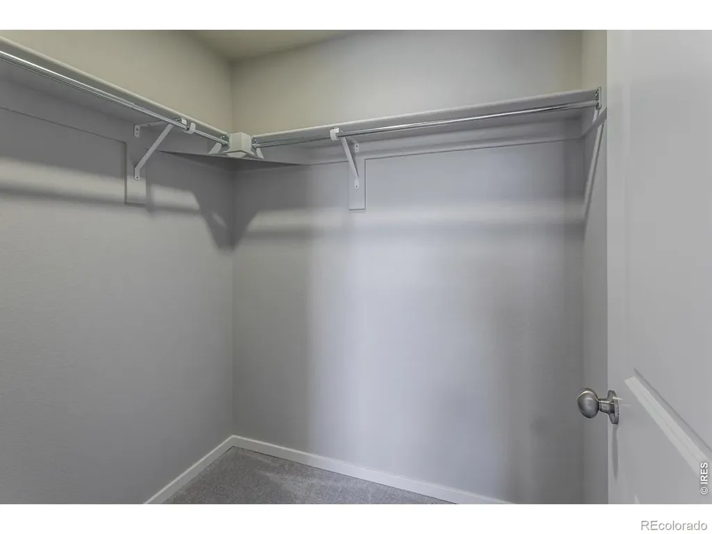 764 Trumpet Court Windsor CO 80550