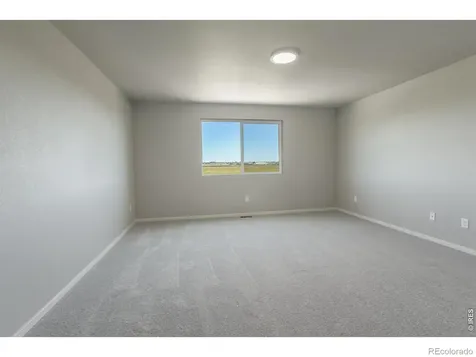 764 Trumpet Court Windsor CO 80550