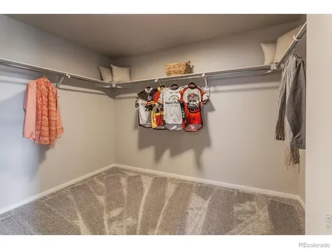 764 Trumpet Court Windsor CO 80550