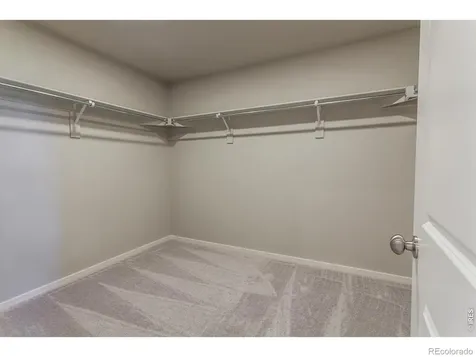 764 Trumpet Court Windsor CO 80550