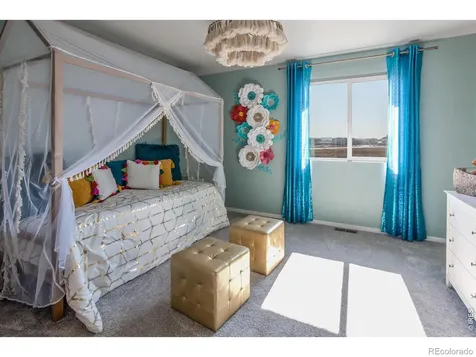 764 Trumpet Court Windsor CO 80550