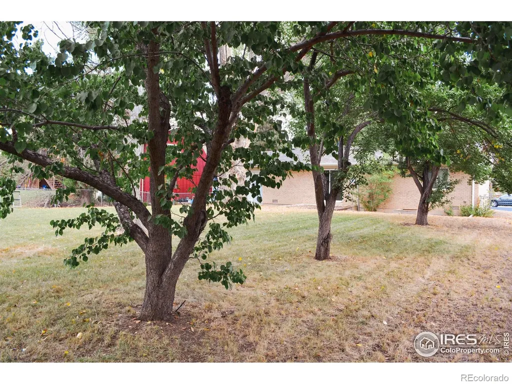 805 Gallup Road Fort Collins CO 80521
