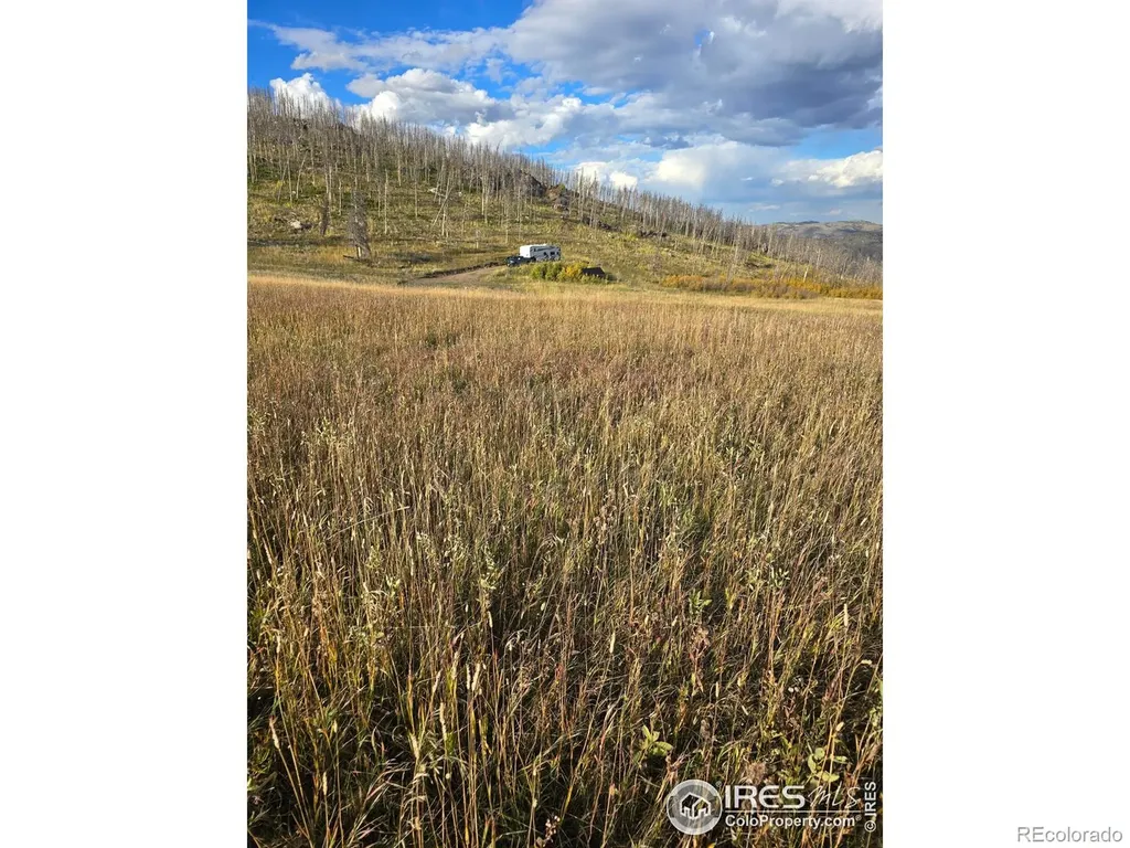 75 Sheep Horn Court Bellvue CO 80512