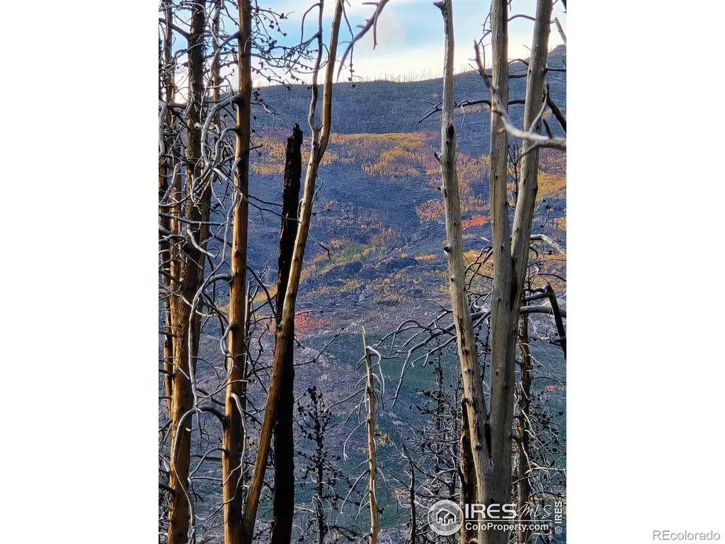75 Sheep Horn Court Bellvue CO 80512