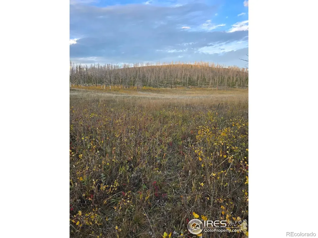 75 Sheep Horn Court Bellvue CO 80512
