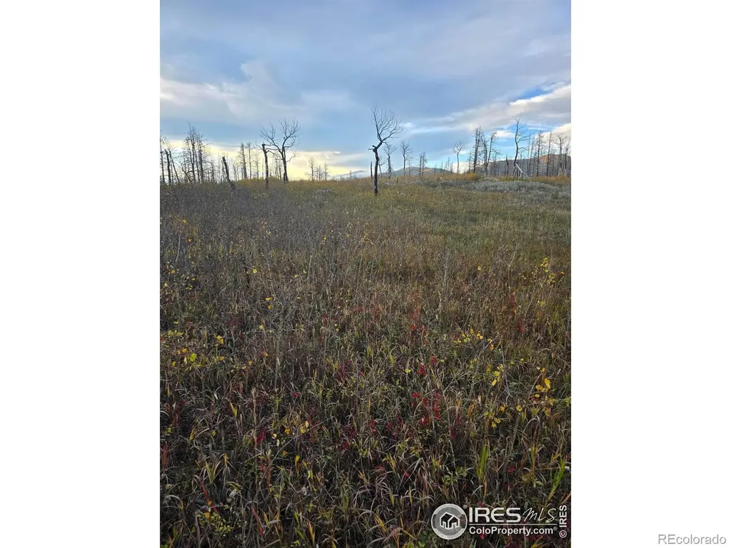75 Sheep Horn Court Bellvue CO 80512