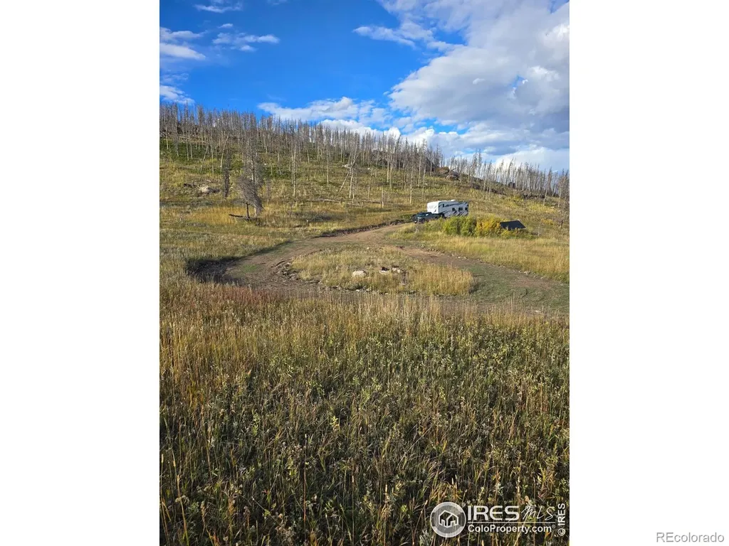 75 Sheep Horn Court Bellvue CO 80512