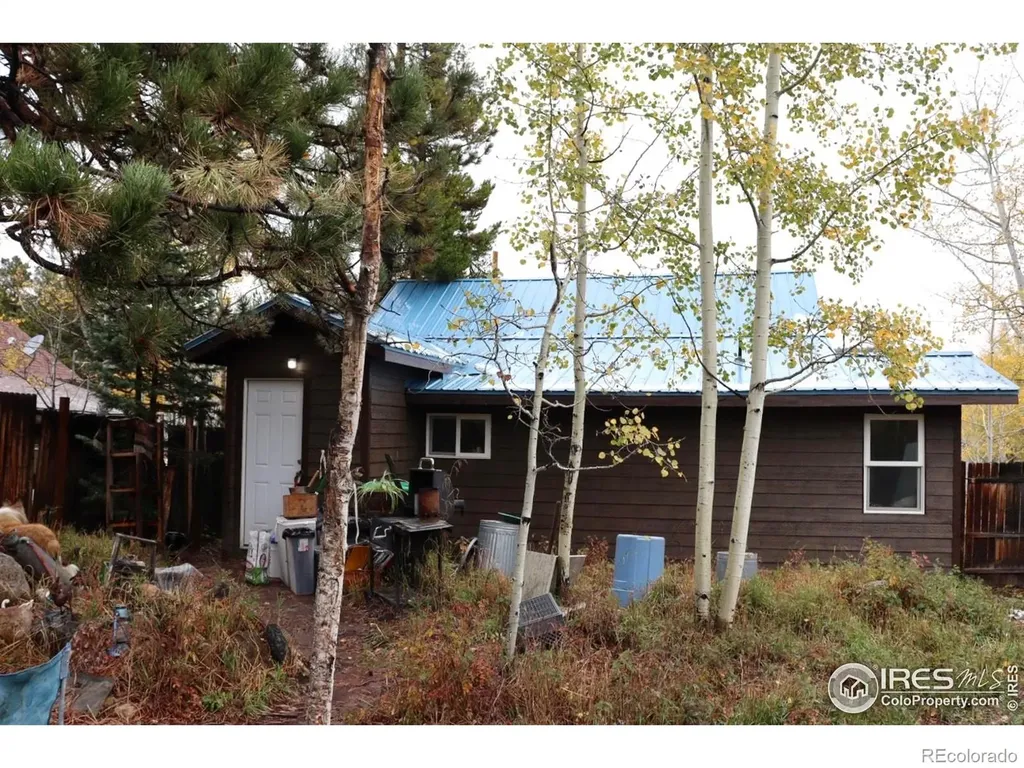 470 W Spring Street Nederland CO 80466
