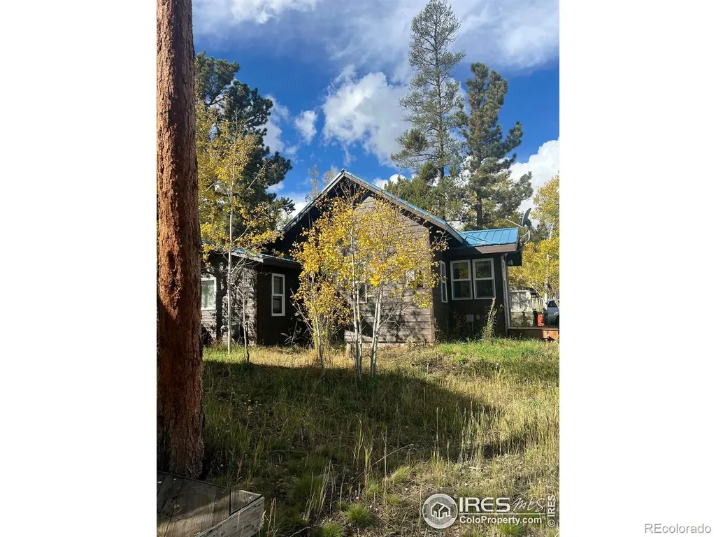 470 W Spring Street Nederland CO 80466