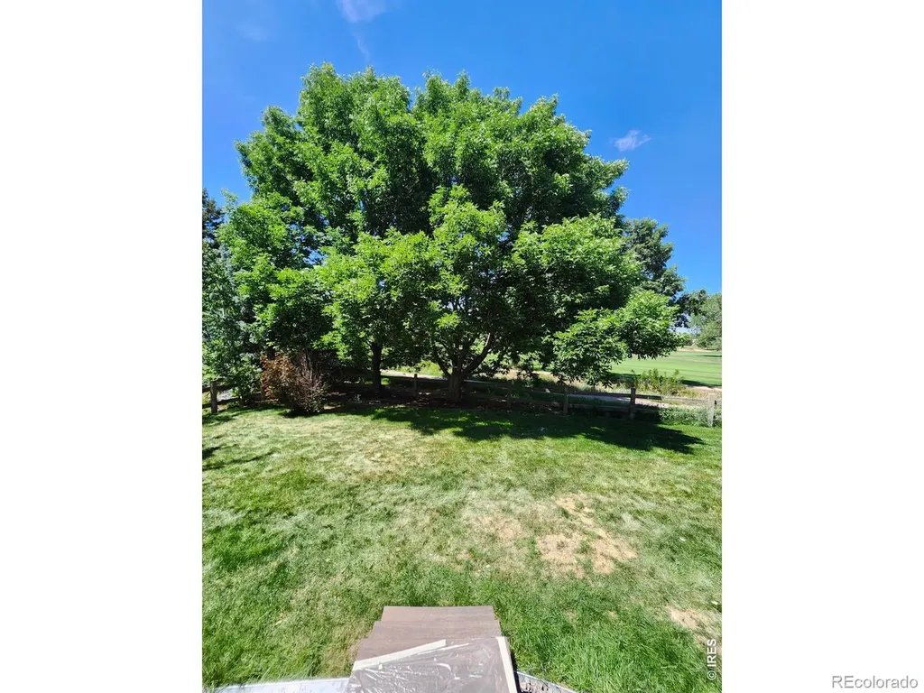 2509 Ravenwood Lane Lafayette CO 80026