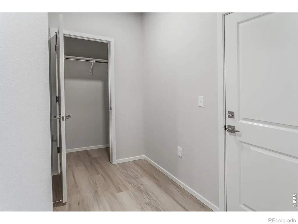 754 Trumpet Court Windsor CO 80550