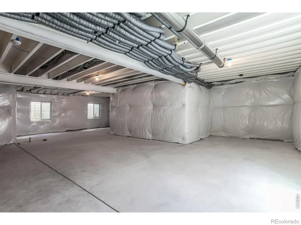 754 Trumpet Court Windsor CO 80550