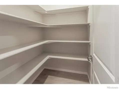 754 Trumpet Court Windsor CO 80550