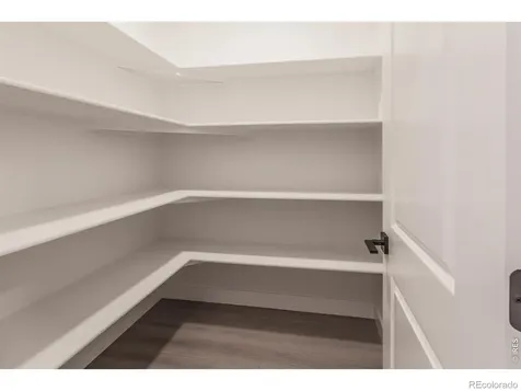 754 Trumpet Court Windsor CO 80550