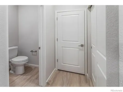 754 Trumpet Court Windsor CO 80550