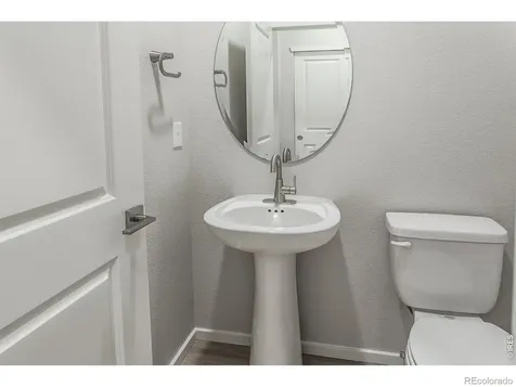 754 Trumpet Court Windsor CO 80550