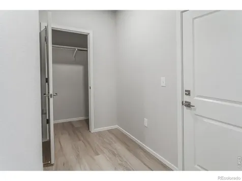 754 Trumpet Court Windsor CO 80550