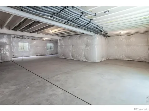 754 Trumpet Court Windsor CO 80550