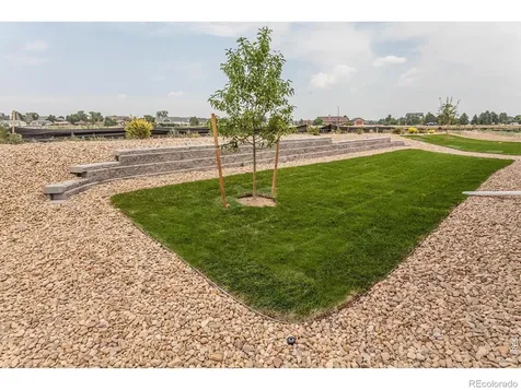 754 Trumpet Court Windsor CO 80550