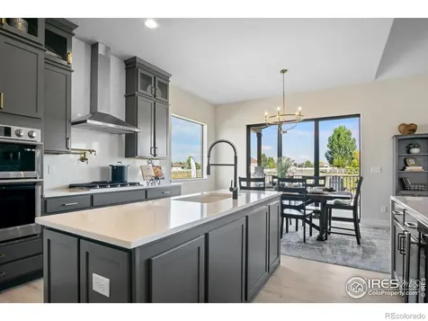 206 Blue Fortune Drive Windsor CO 80550