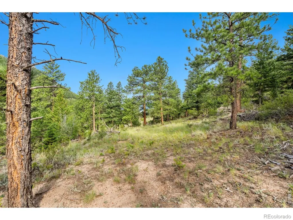 15 Estes Valley View Court Estes Park CO 80517