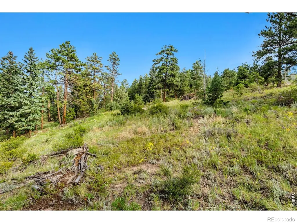15 Estes Valley View Court Estes Park CO 80517
