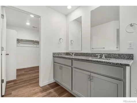 5978 Amerifax Drive Windsor CO 80528