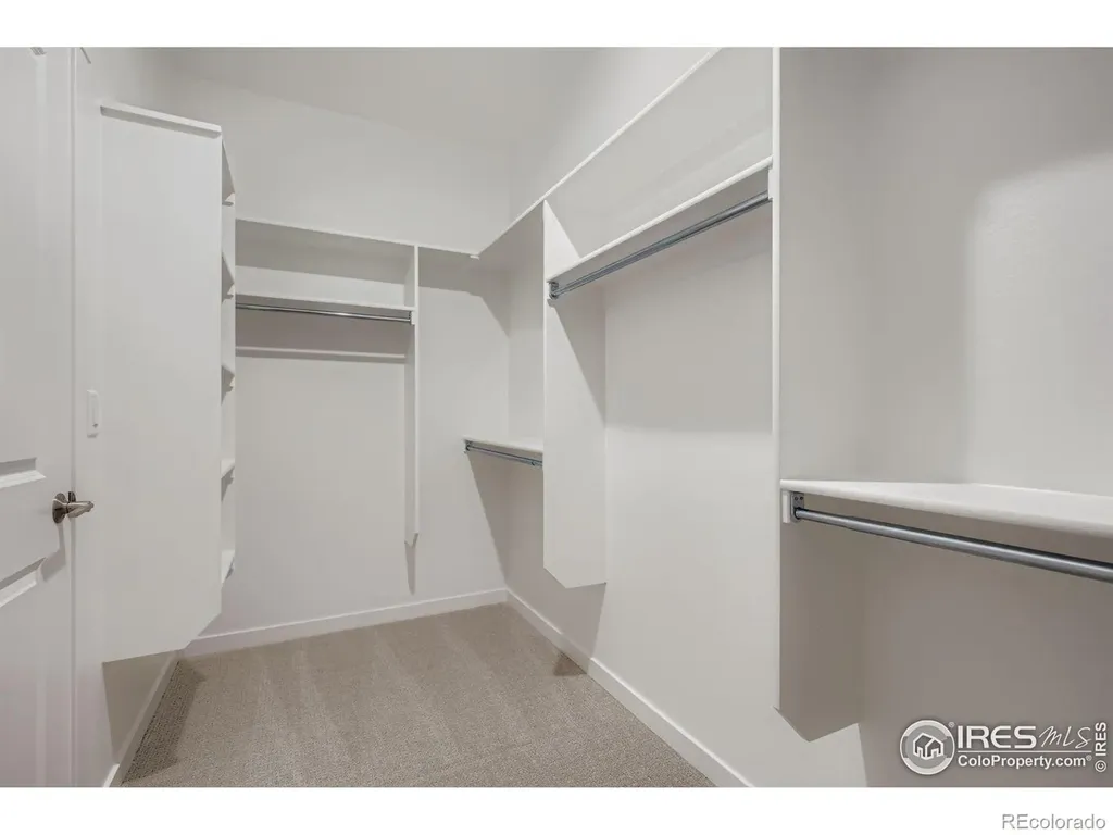 1854 Equinox Drive Windsor CO 80550