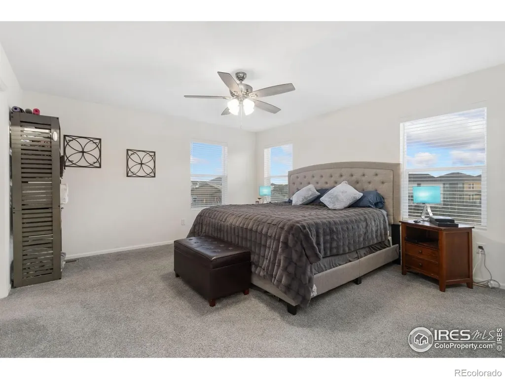 3202 Loomis Lake Court Loveland CO 80538
