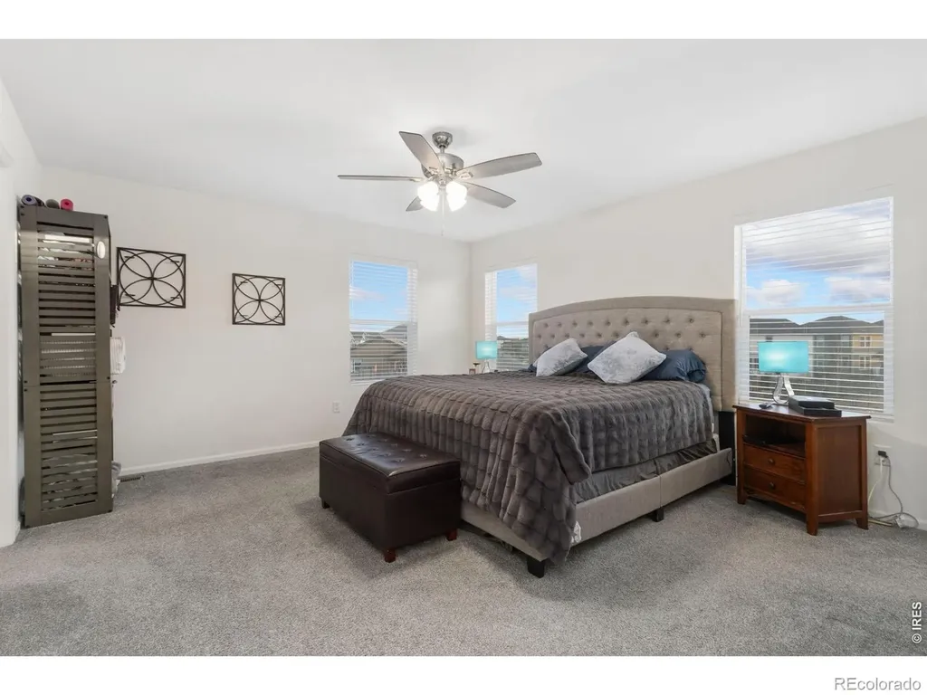 3202 Loomis Lake Court Loveland CO 80538