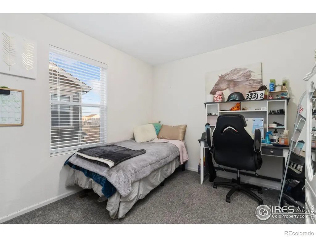 3202 Loomis Lake Court Loveland CO 80538