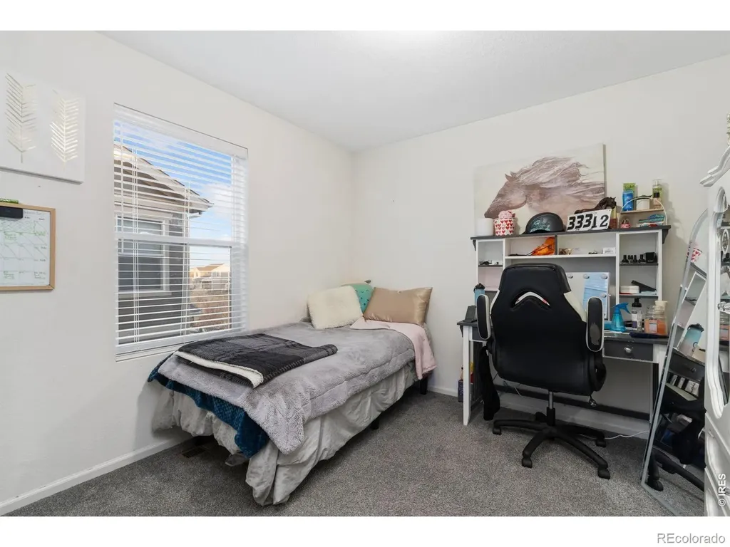 3202 Loomis Lake Court Loveland CO 80538