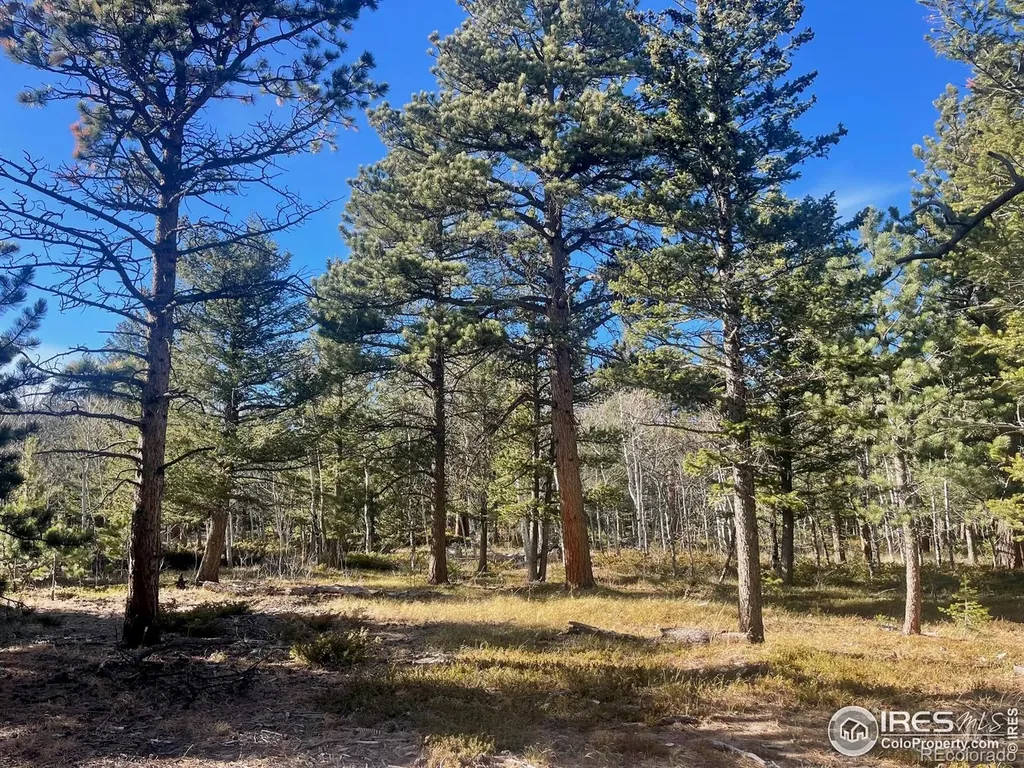 399 N Skinner Road Allenspark CO 80510
