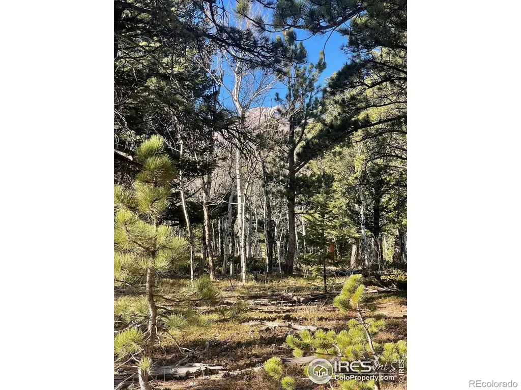 399 N Skinner Road Allenspark CO 80510