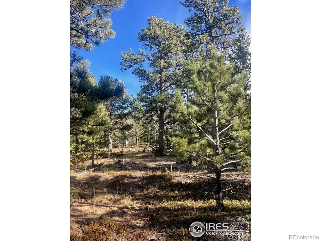 399 N Skinner Road Allenspark CO 80510