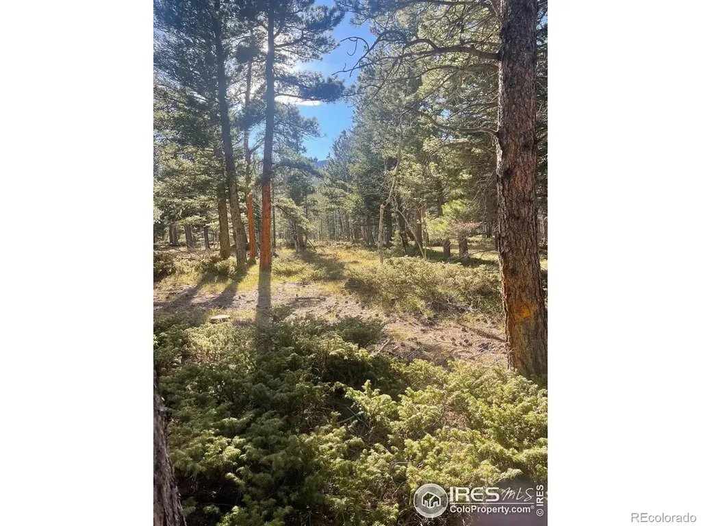 399 N Skinner Road Allenspark CO 80510