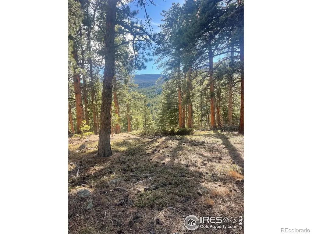 399 N Skinner Road Allenspark CO 80510