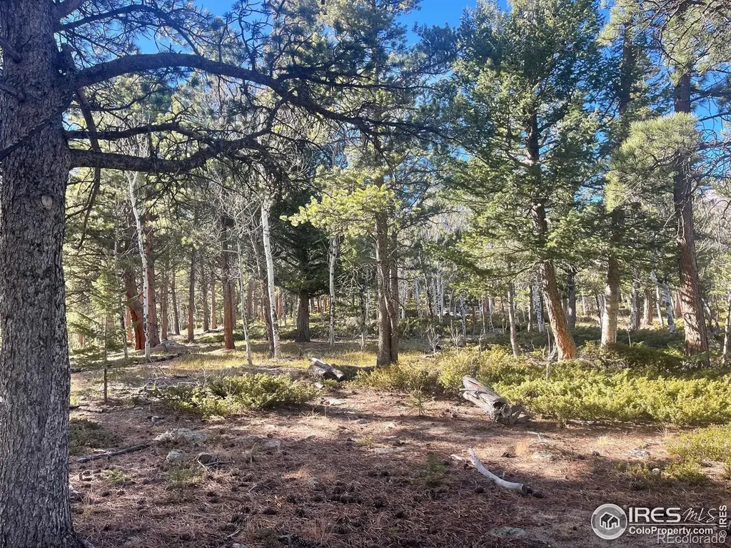 399 N Skinner Road Allenspark CO 80510