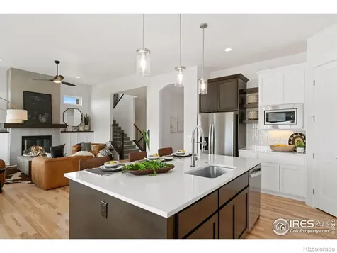 3691 N Buchanan Court Aurora CO 80019