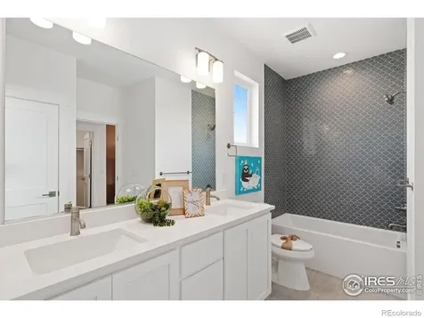 3691 N Buchanan Court Aurora CO 80019