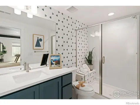 3691 N Buchanan Court Aurora CO 80019