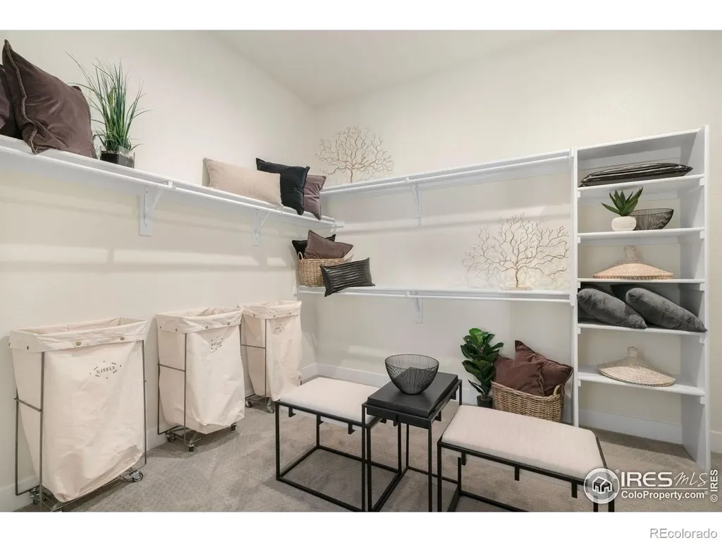 3631 N Buchanan Court Aurora CO 80019
